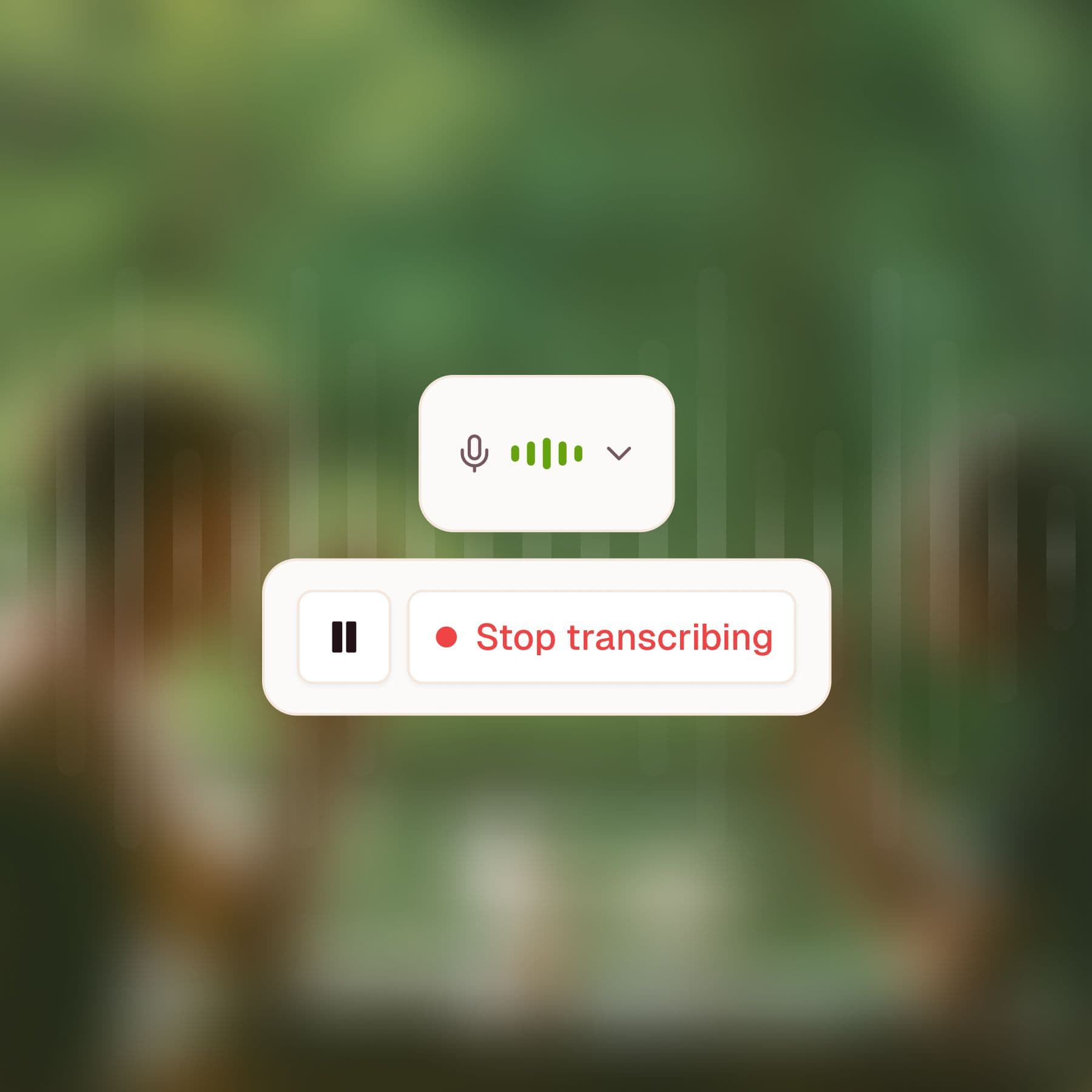Transcription for a documentation